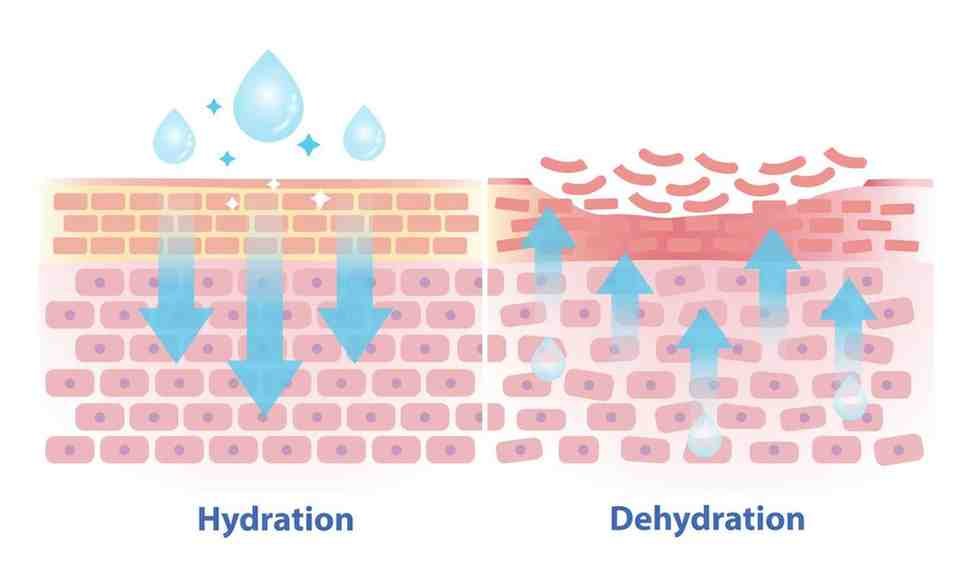 Diagram showing moisture loss from skin during winter